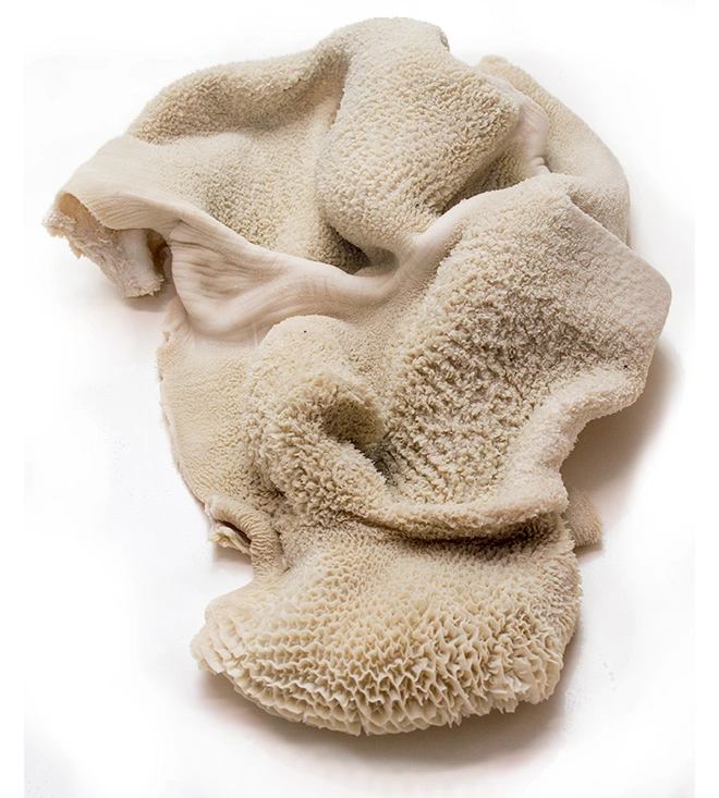 Goat Tripe 500G